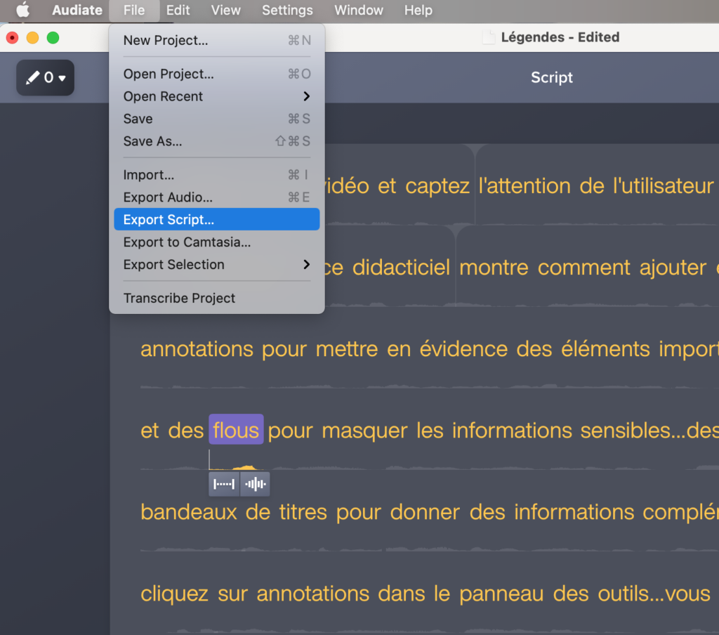 Exporter le script dans Camtasia pour ajouter des sous-titres à la vidéo