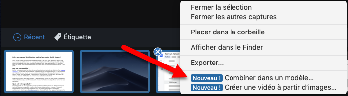 Fonction combiner dans un modèle pour créer un manuel d'utilisation logiciel