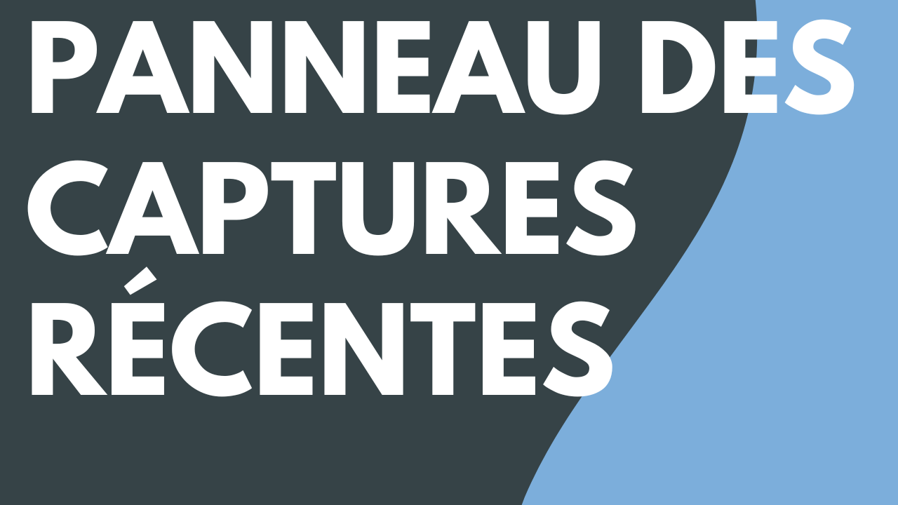 Panneau des captures récentes