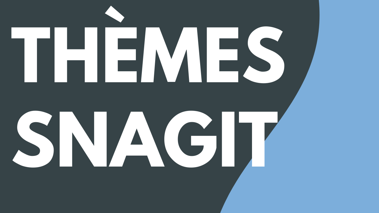 Thèmes Snagit