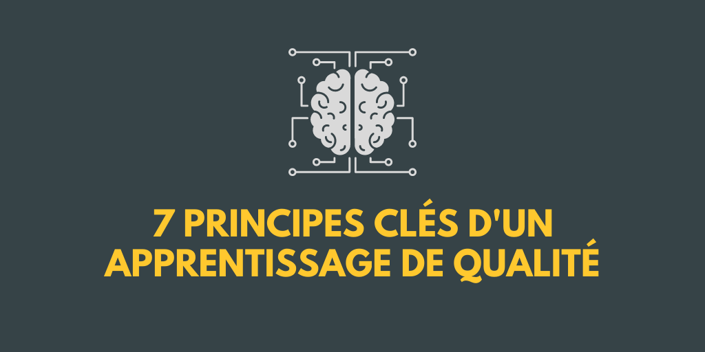 Dessin d’un cerveau pour illustrer les sept principes clés pour un enseignement en ligne de qualité