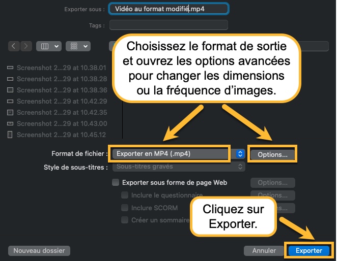 Découvrez comment changer le format d'une vidéo avec Camtasia