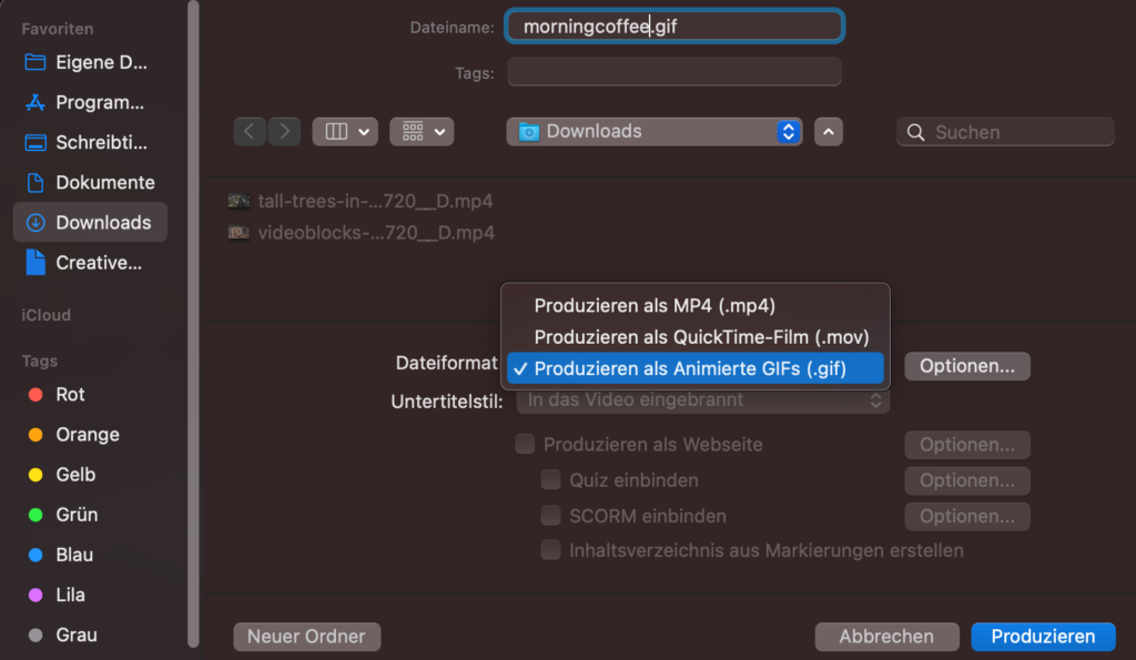 GIF-Datei mit eingefügtem Text in Camtasia abspeichern