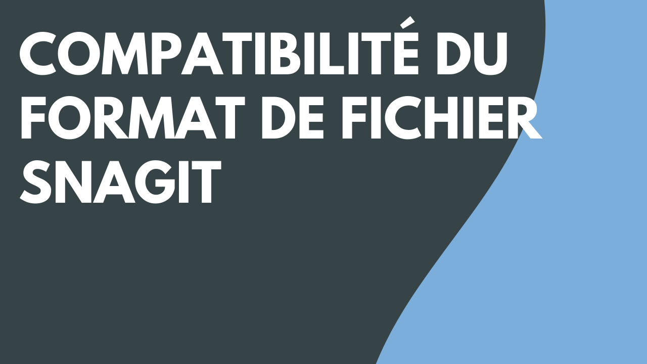 Compatibilité du format de fichier Snagit