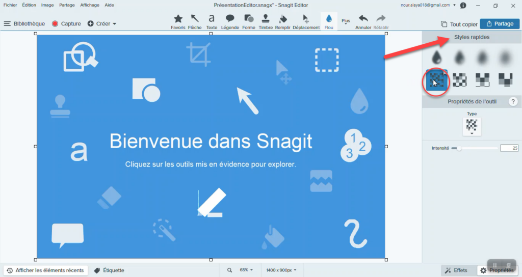 Flouter une image avec Snagit.