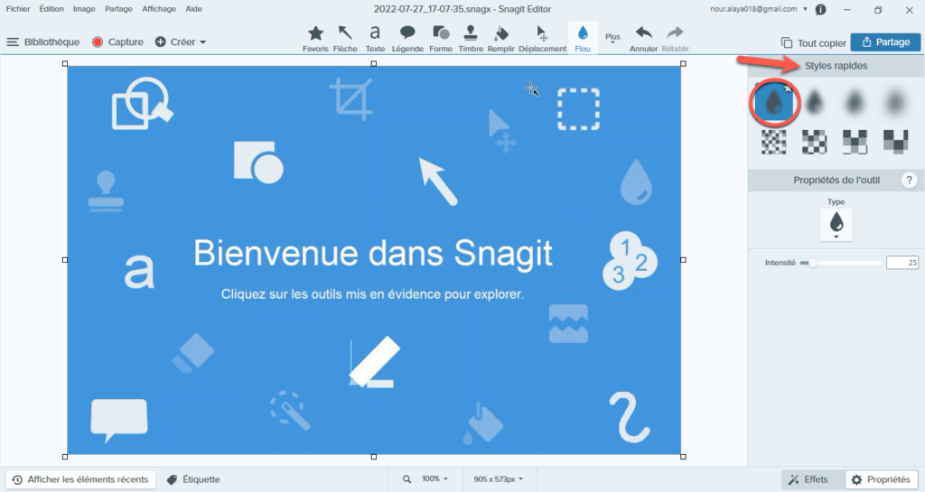 Flouter une image avec Snagit.