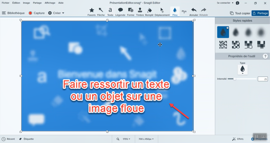 Flouter une image avec Snagit.