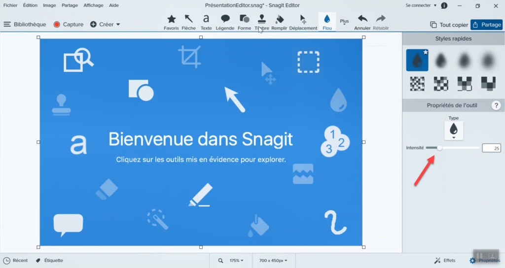 Flouter une image avec Snagit.