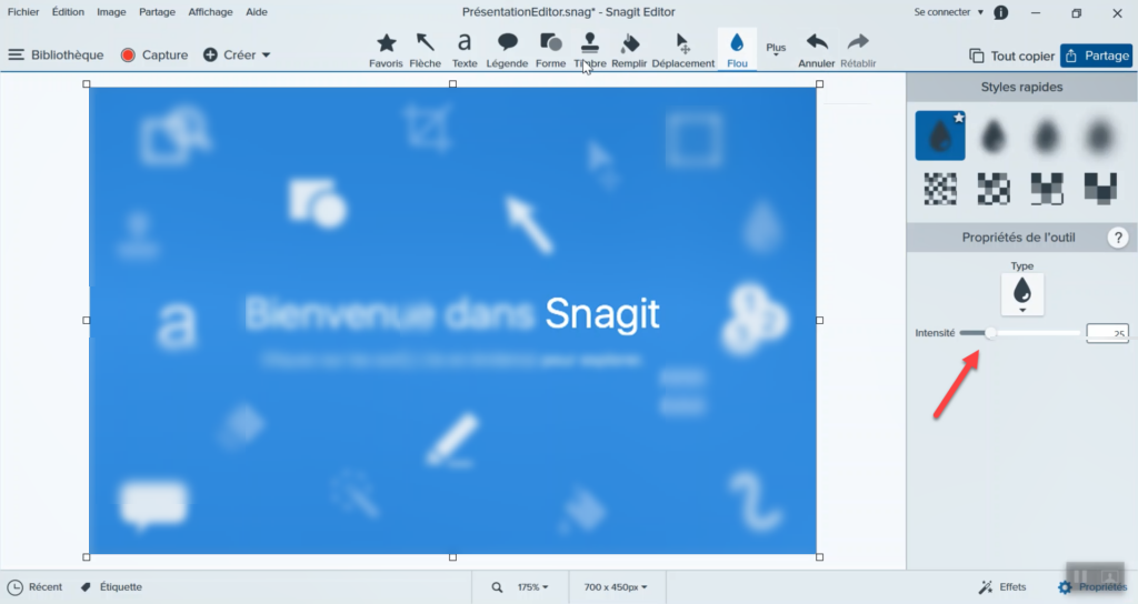 Snagit permet de flouter une image pour mettre en évidence un élément.